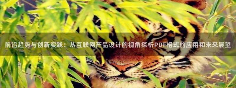 辉达娱乐：前沿趋势与创新实践：