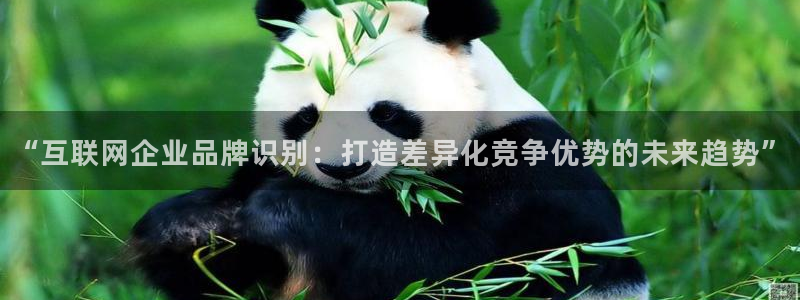 辉达娱乐游戏.直开.中国