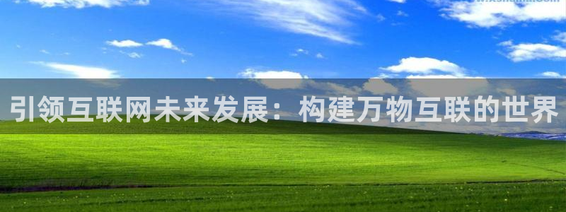 辉达娱乐时时彩平台：引领互联网