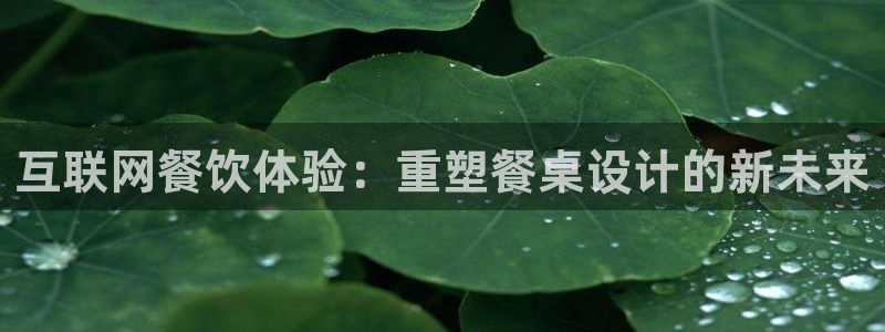 辉达娱乐最新消息新闻：互联网餐