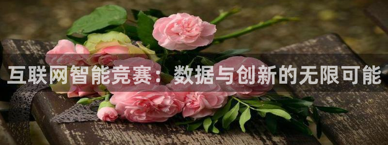 辉达娱乐游戏.直开.中国