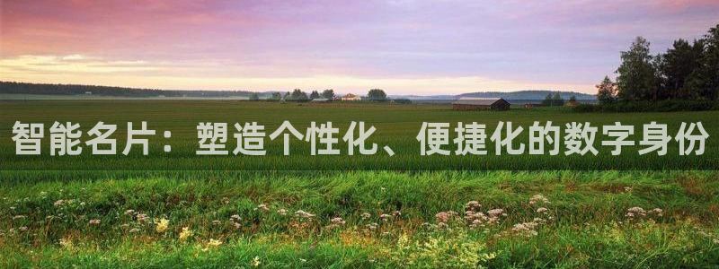辉达娱乐加扣75775