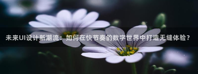 辉达娱乐多少年
