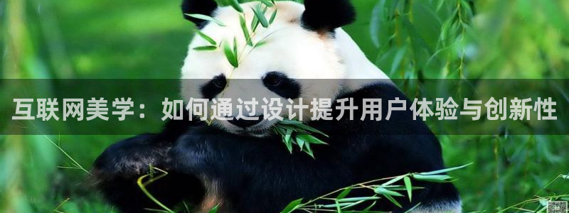 辉达娱乐最新消息新闻