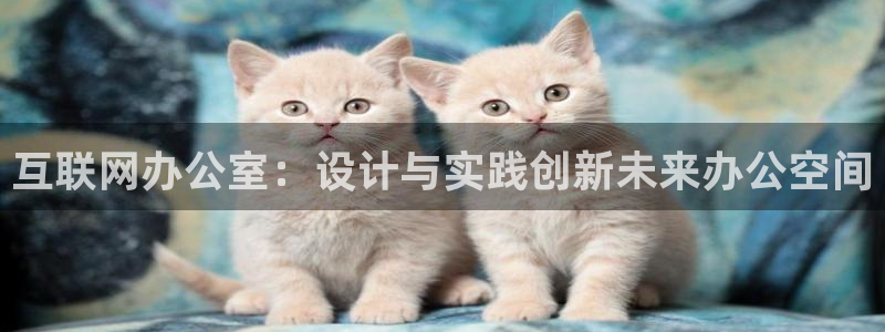 辉达娱乐官方网址