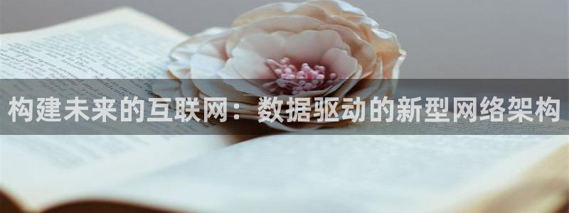 专业辉达娱乐官方网址