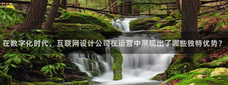 专业辉达娱乐平台