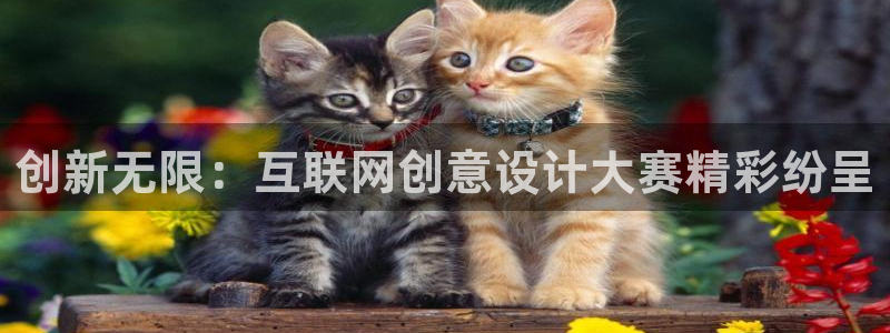 辉达娱乐游戏.直开.中国