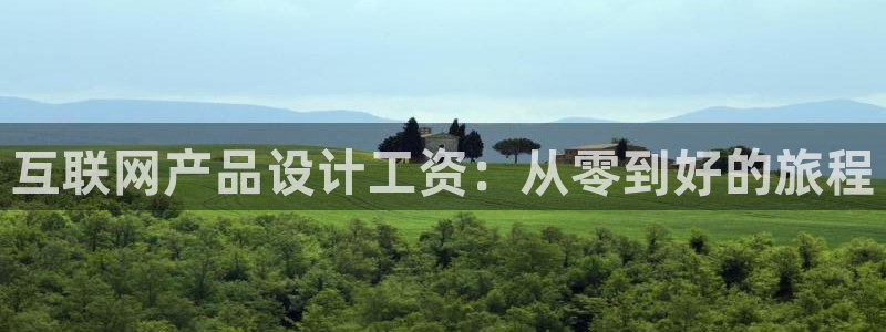 辉达娱乐电子：互联网产品设计工