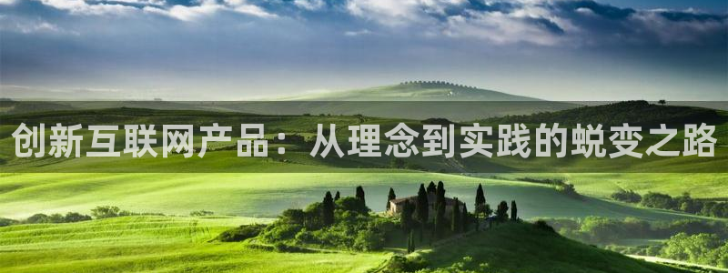 龙腾辉达电子娱乐：创新互联网产