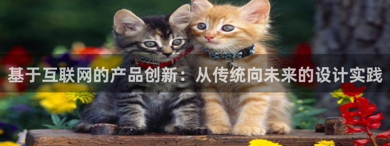 辉达娱乐最新消息新闻